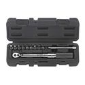 Cofre llave dinamométrica telescopica plata 221 mm