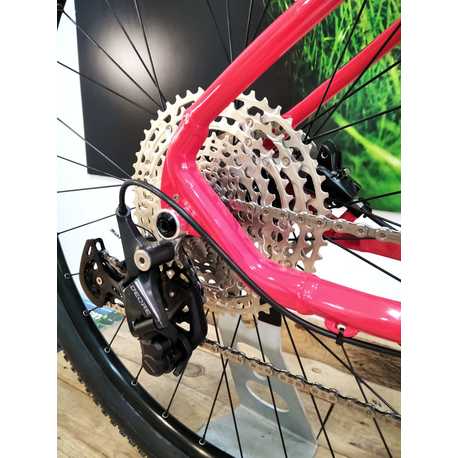 Bh Expert 4.0 (2023)