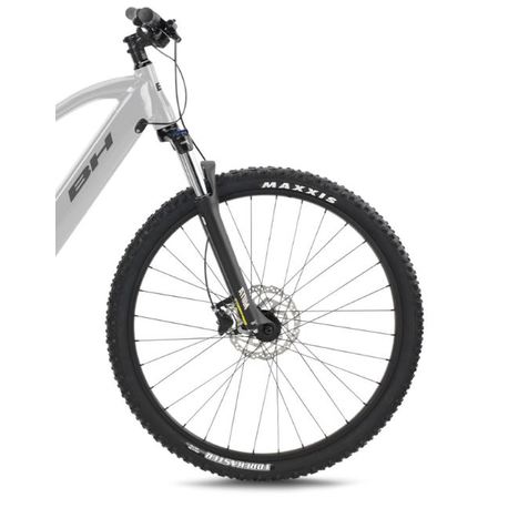 Bh Atom 29