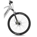 Bh Atom 29