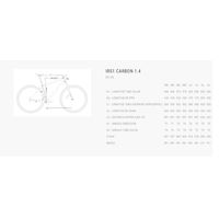 Bh Irs1 Carbon 1.4 2