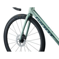 Giant TCR Advanced 0 (Pro Compact) 2026 2