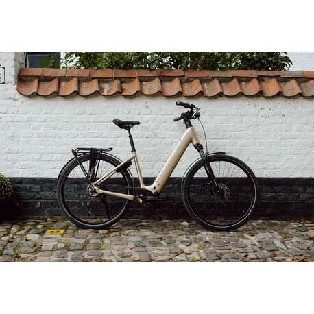 Bh Atom+ Nx Diamond Wave