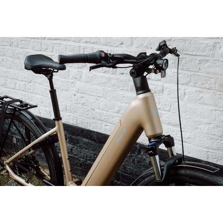 Bh Atom+ Nx Diamond Wave