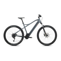 Bh Atom 29 (2027) 2