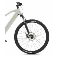 Bh Atom 29 (2027) 2