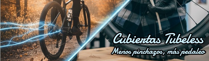 Cubiertas Tubeless